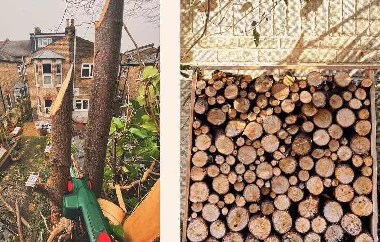 Tree cutting during garden works